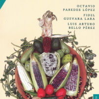 ALIMENTOS MÁGICOS DE LAS CULTURAS INDÍGENAS