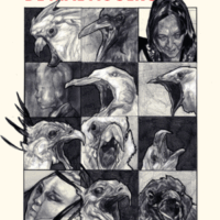 PÁJAROS DE MAL AGÜERO