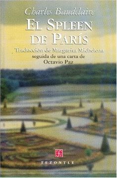 EL SPLEEN DE PARÍS