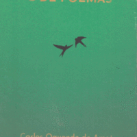 5 METROS DE POEMAS