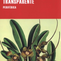 PEREGRINO TRANSPARENTE