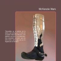 VAQUERA INVERTIDA