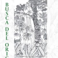 EN BUSCA DEL ORIGEN