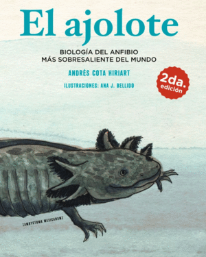 EL AJOLOTE: BIOLOGÍA DEL ANFIBIO MÁS SOBRESALIENTE DEL MUNDO