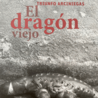 EL DRAGÓN VIEJO
