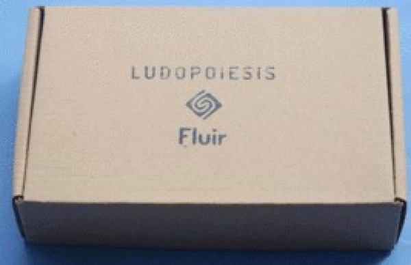 LUDOPOIESIS - FLUIR