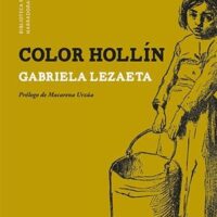 COLOR HOLLÍN