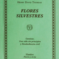 FLORES SILVESTRES