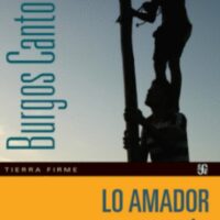 Lo Amador y trece cuentos más