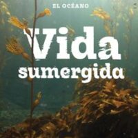 VIDA SUMERGIDA