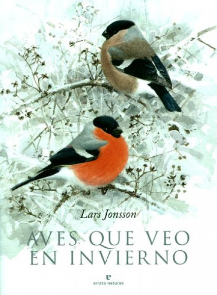 AVES QUE VEO EN INVIERNO