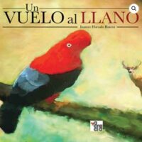 UN VUELO AL LLANO