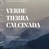 VERDE TIERRA CALCINADA